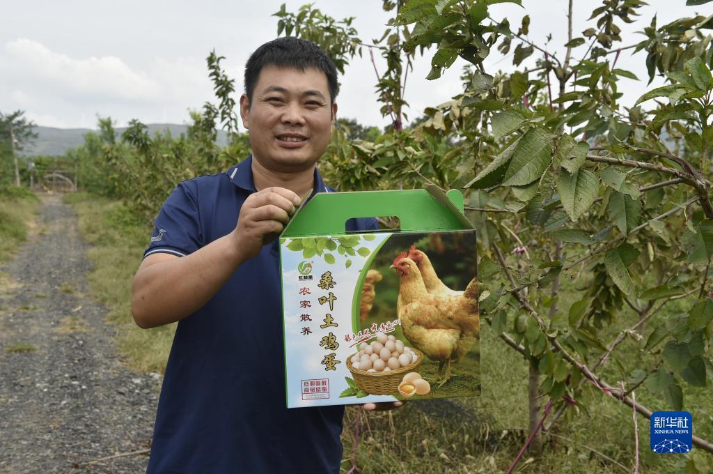 宝马娱乐游戏在线